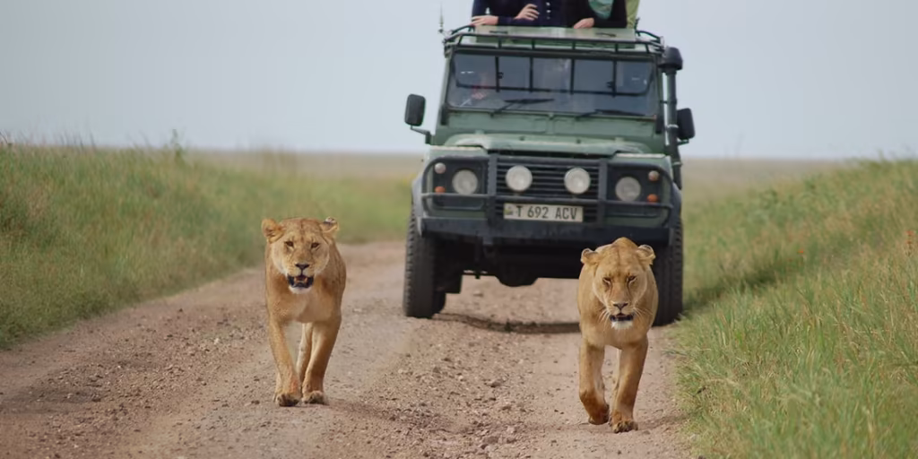 RECEVEZ LA FICHE DU VOYAGE