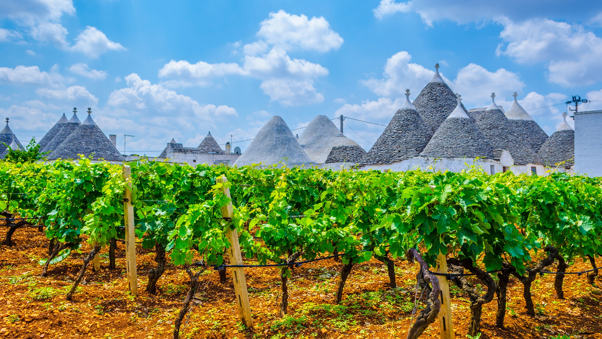 ${uiTranslations.tripPhoto} 6