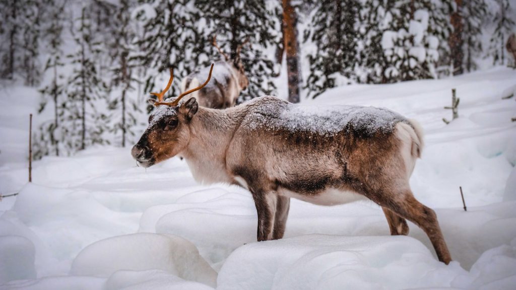 ${uiTranslations.tripPhoto} 6