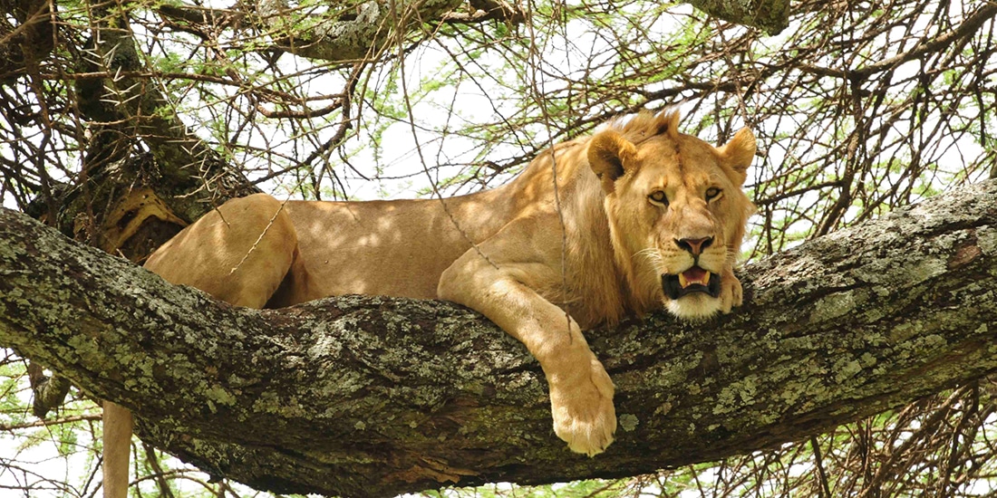 ${uiTranslations.tripPhoto} 3