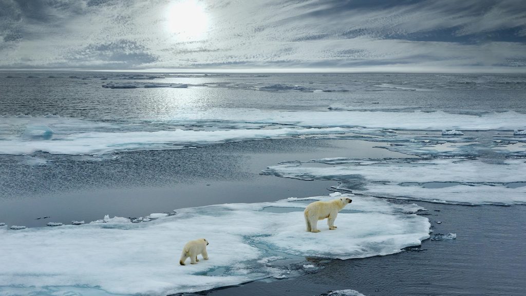 ${uiTranslations.tripPhoto} 2