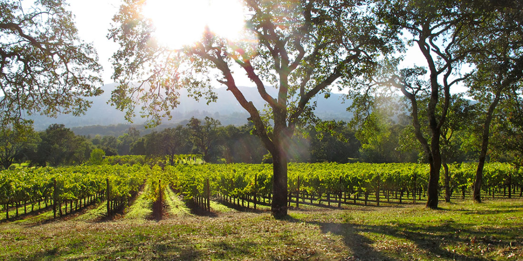 ${uiTranslations.tripPhoto} 5