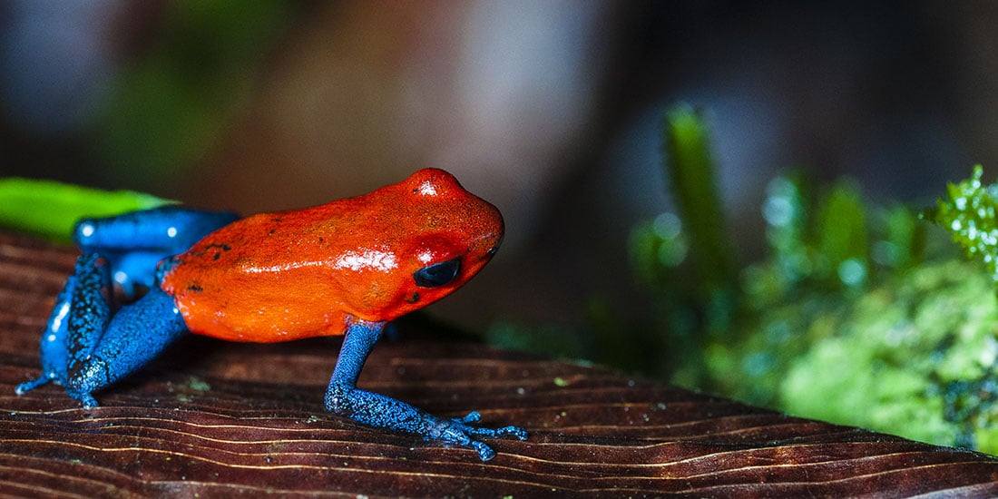 ${uiTranslations.tripPhoto} 4