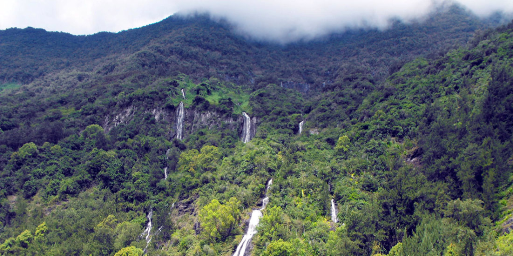 ${uiTranslations.tripPhoto} 4