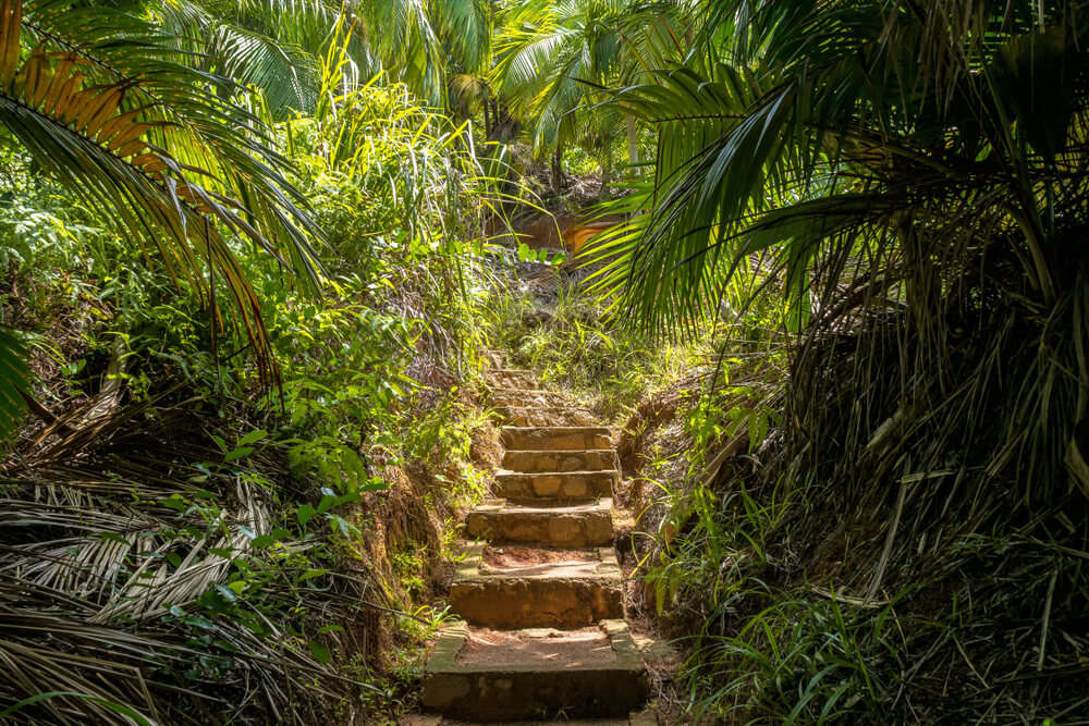 ${uiTranslations.tripPhoto} 5