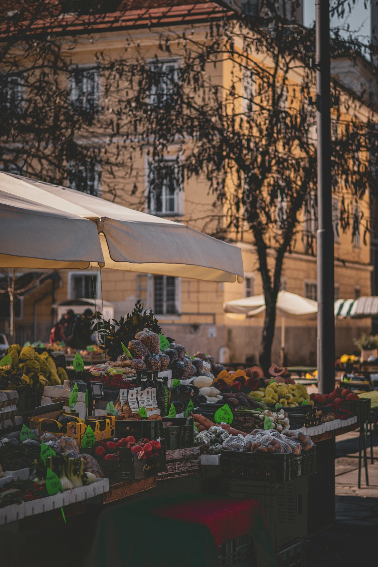 ${uiTranslations.tripPhoto} 7