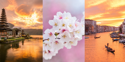 Où partent nos voyageurs cet été ?