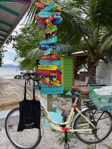 [ Newsletter ] où partir en voyage en 2025 - Calliope Travel