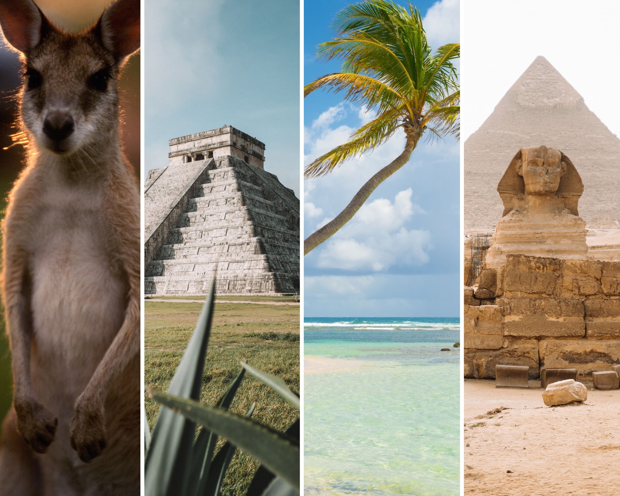 Où partir en voyage en novembre ?