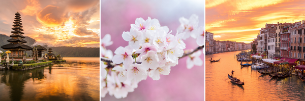 Où partent nos voyageurs cet été ?