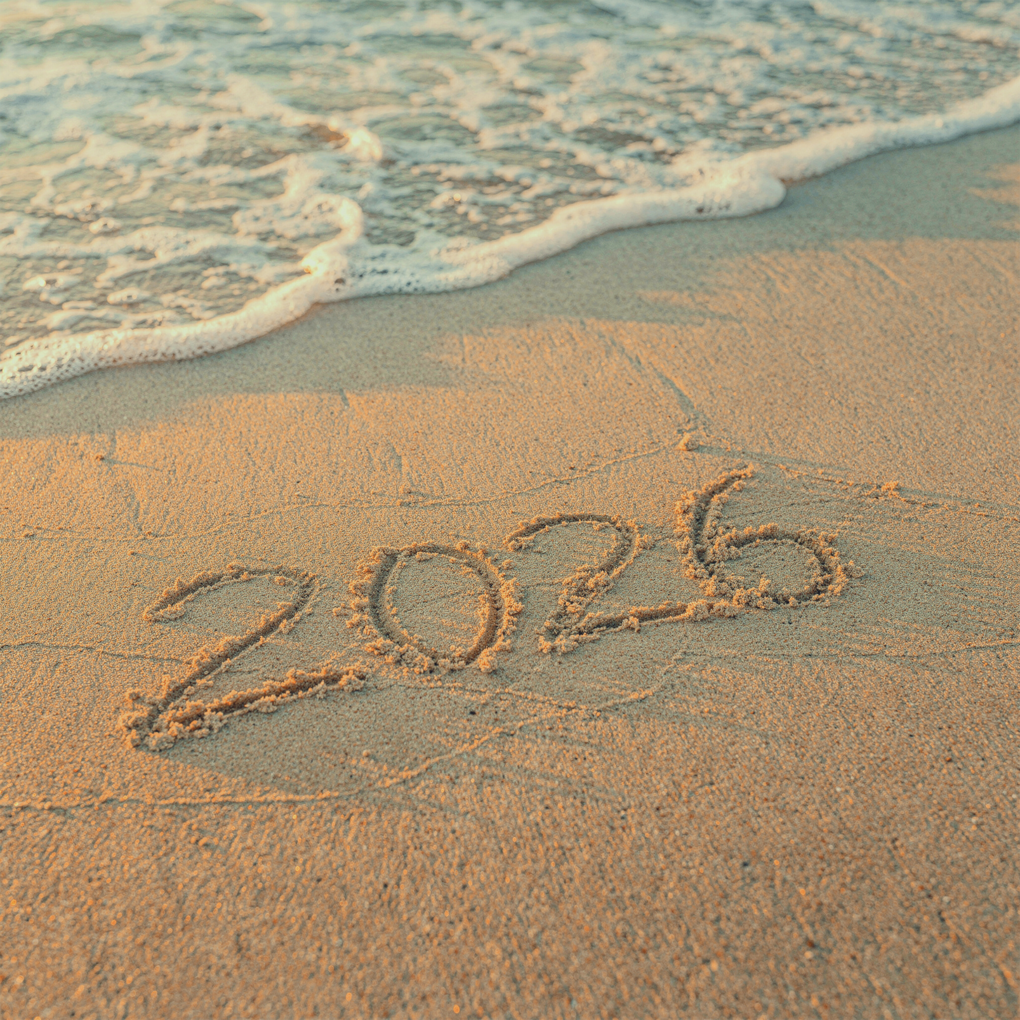 (NEWSLETTER) En route pour 2026… et si on parlait voyages ?