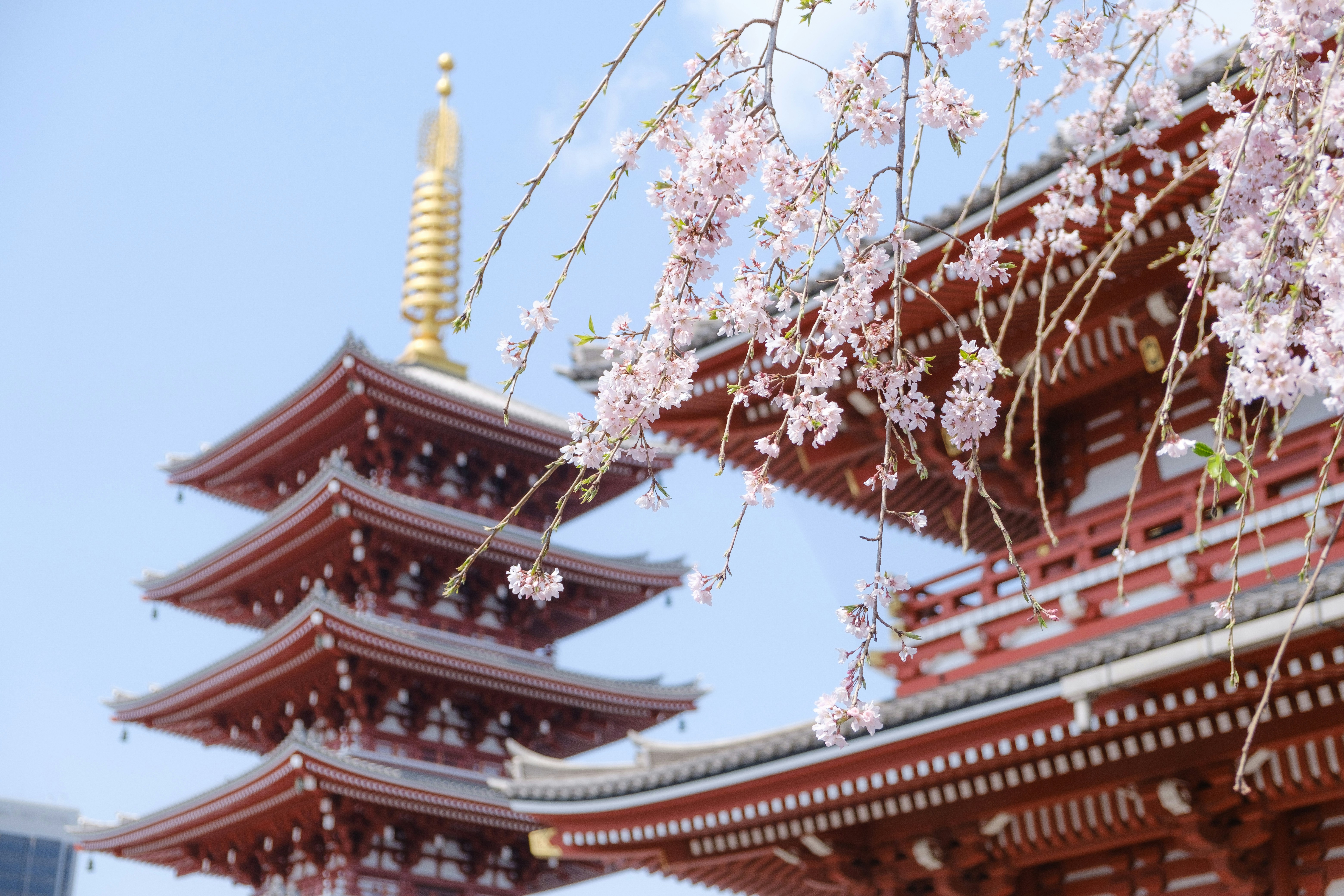 3 conseils pour préparer votre voyage au Japon