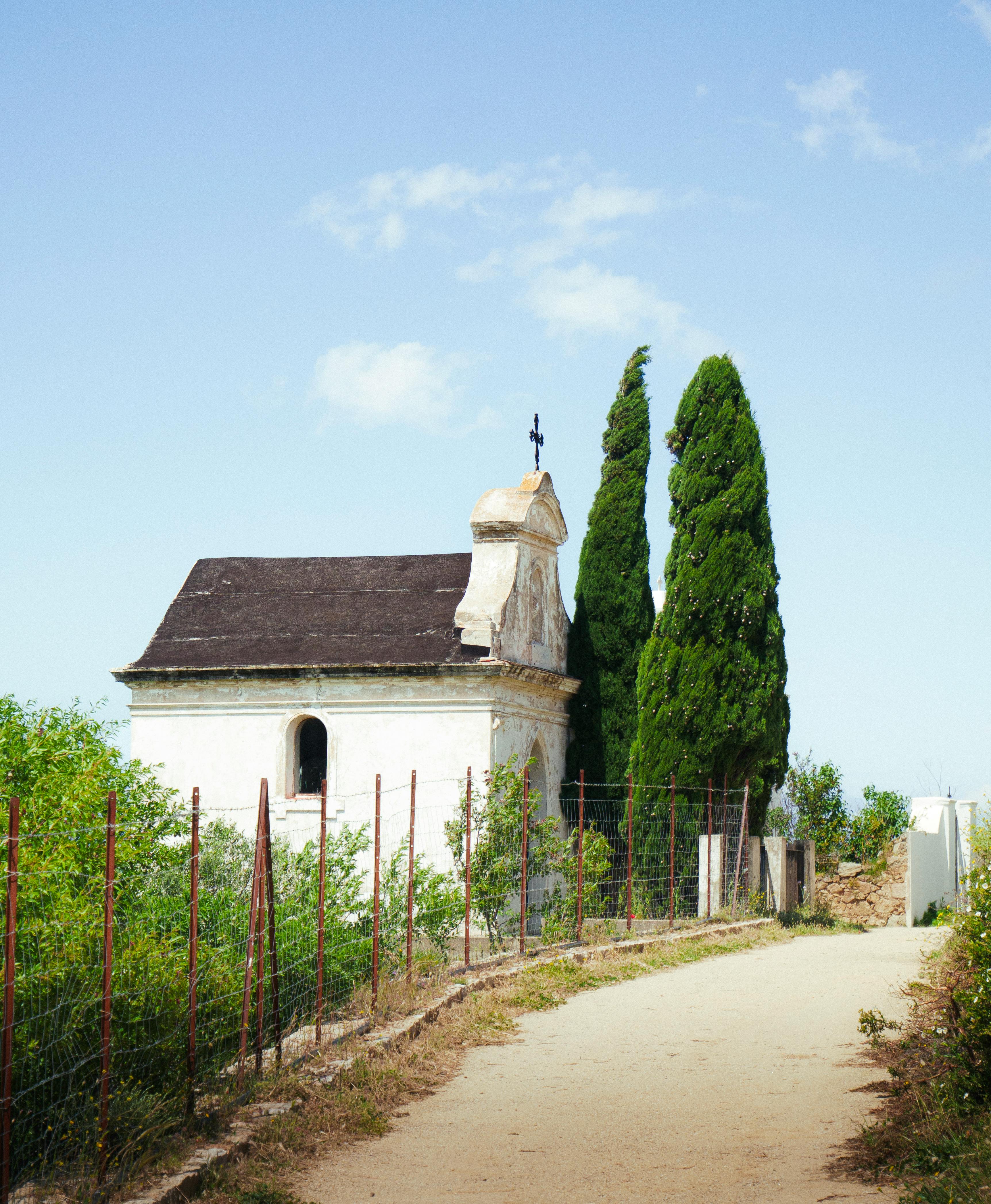 ${uiTranslations.tripPhoto} 3