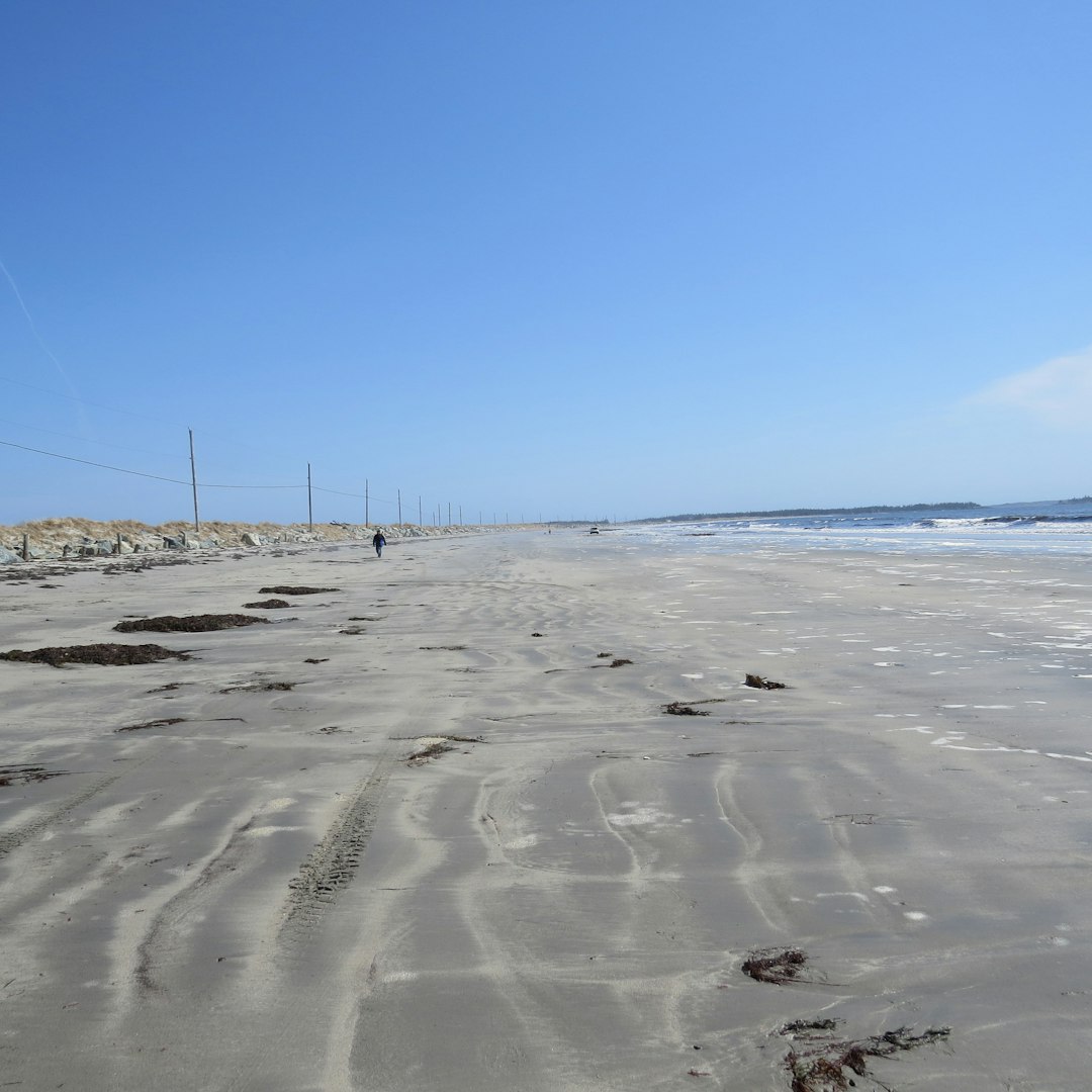 a person walking along a sandy beach next to the ocean