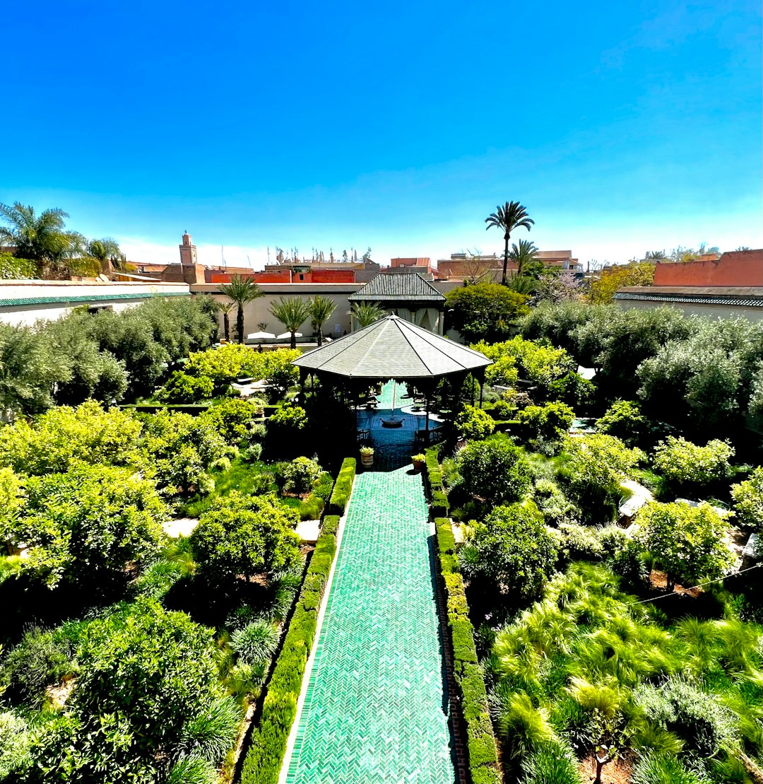 a garden with a pool