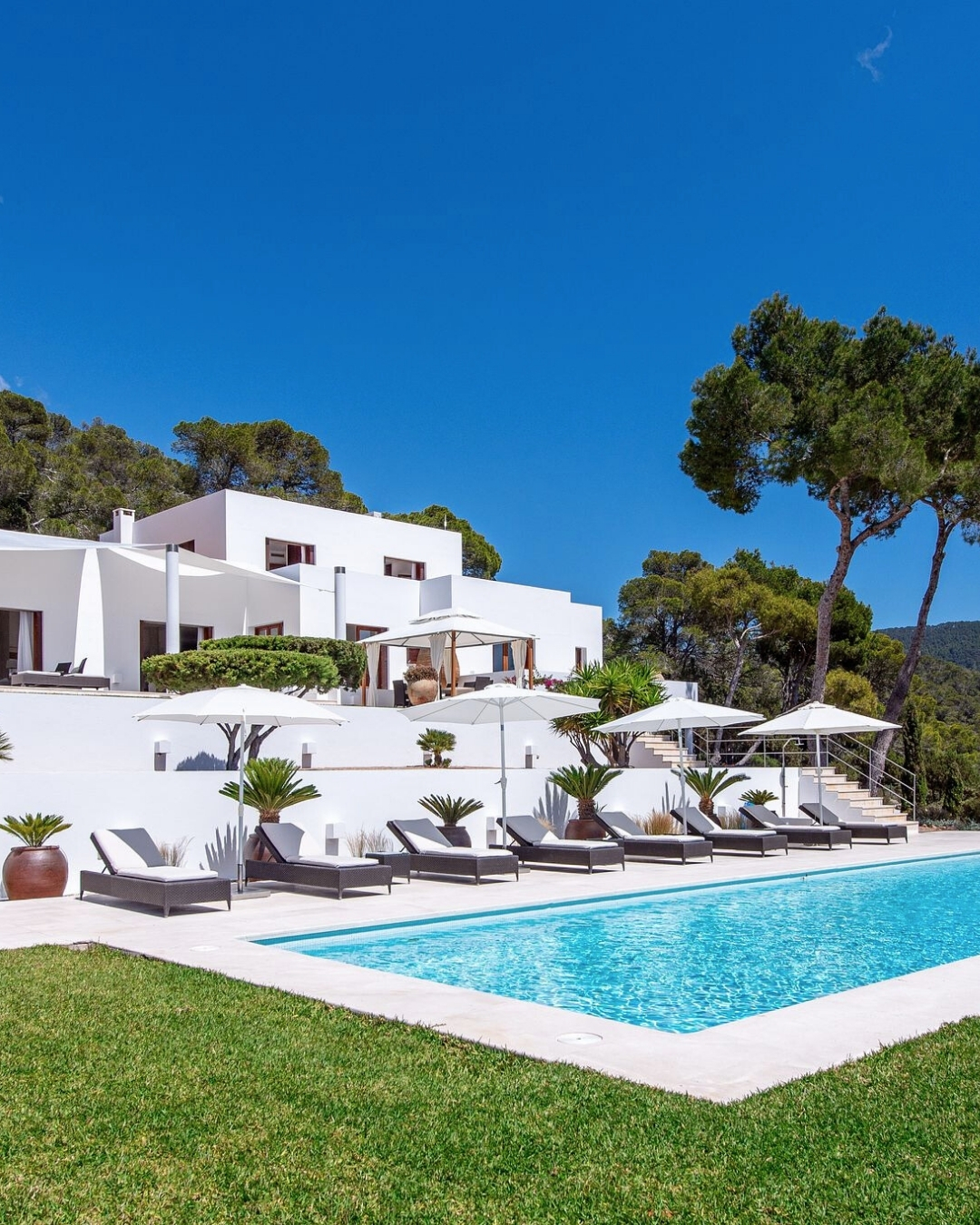 Receive curated options within 24 hours