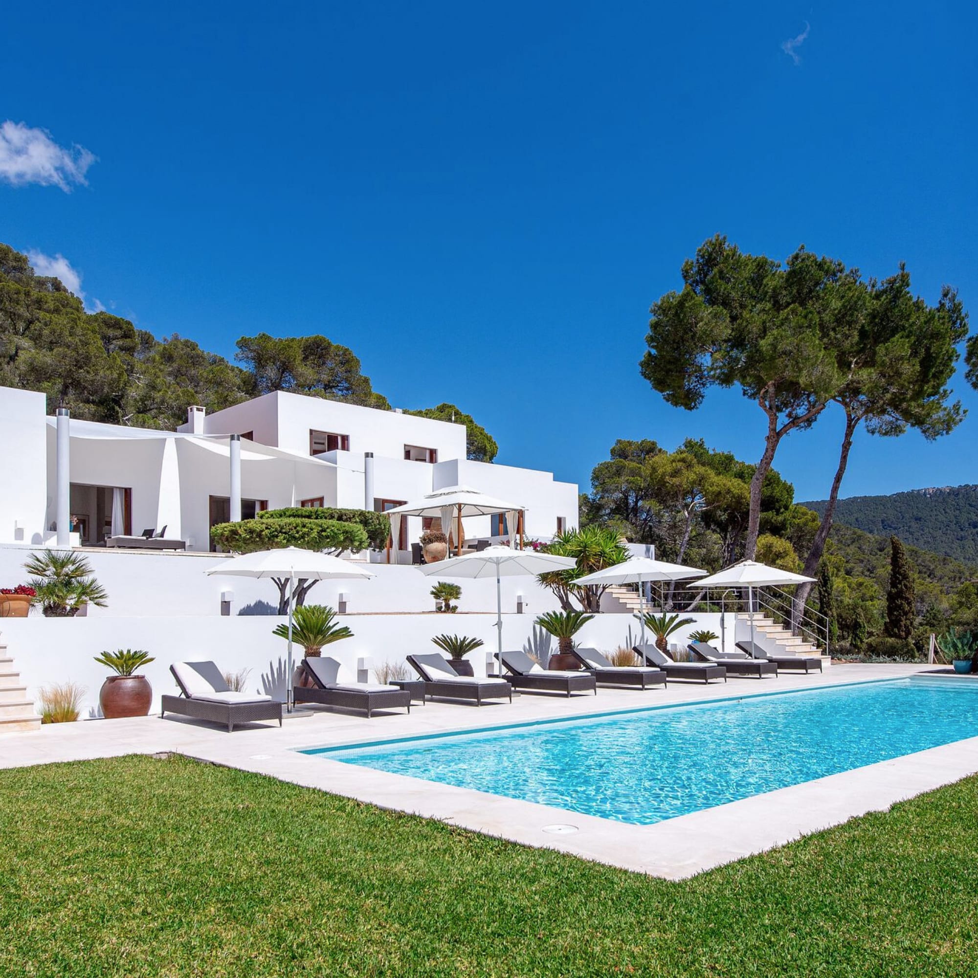 Receive tailored options within 24 hours