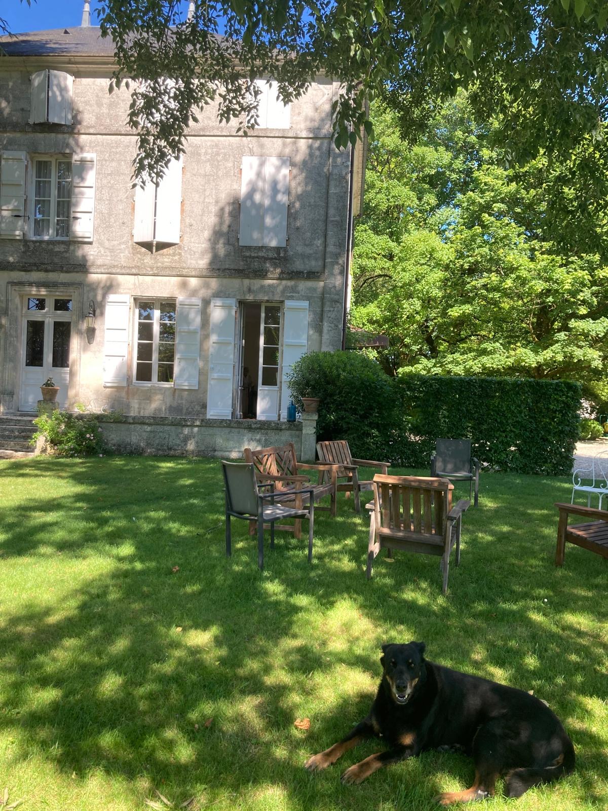 5cb99dd8 24ba 45ad a0a6 32a73e4a8ebd