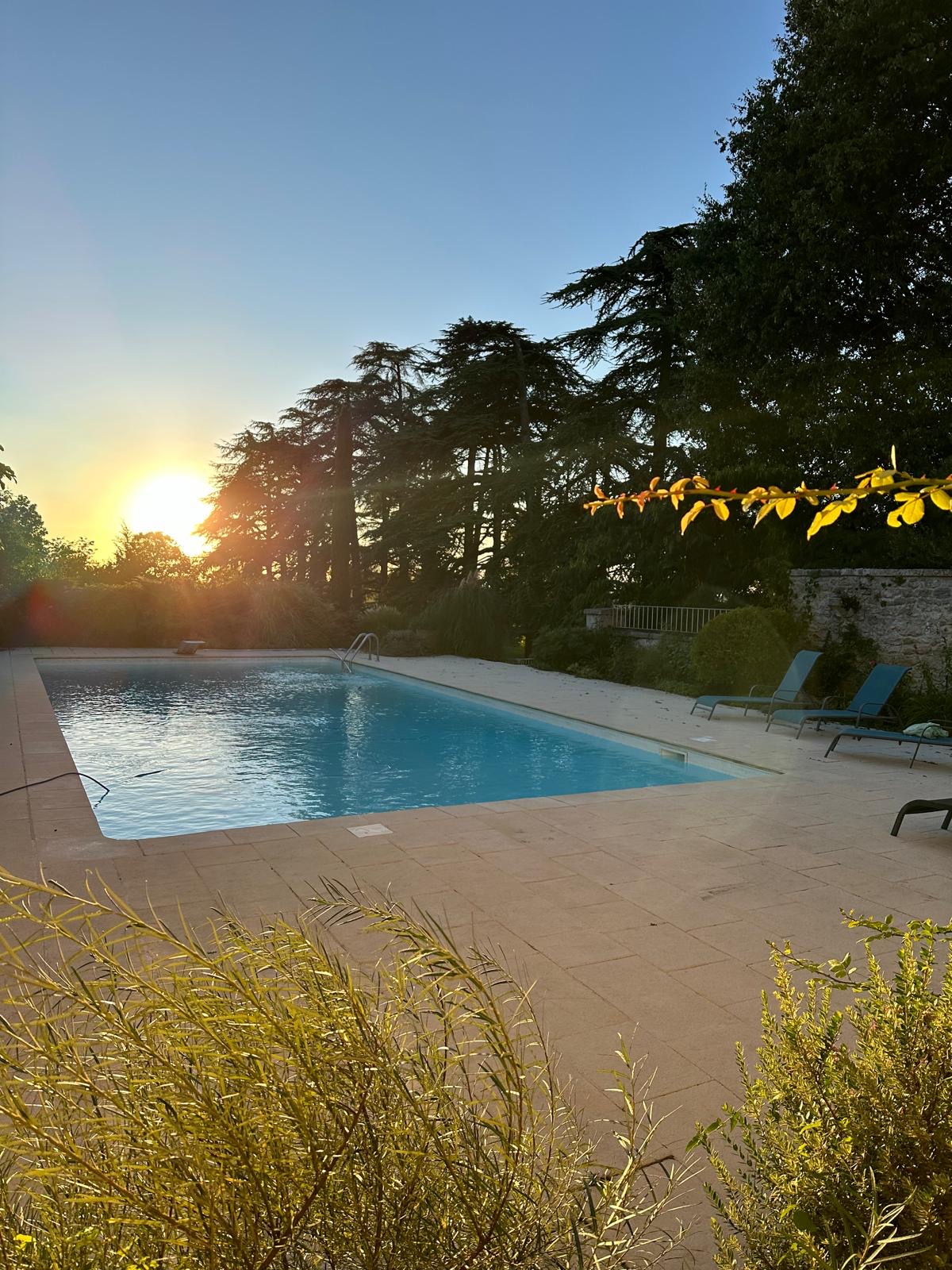 452937db 406b 4ab2 b1b6 0e9473dddc14