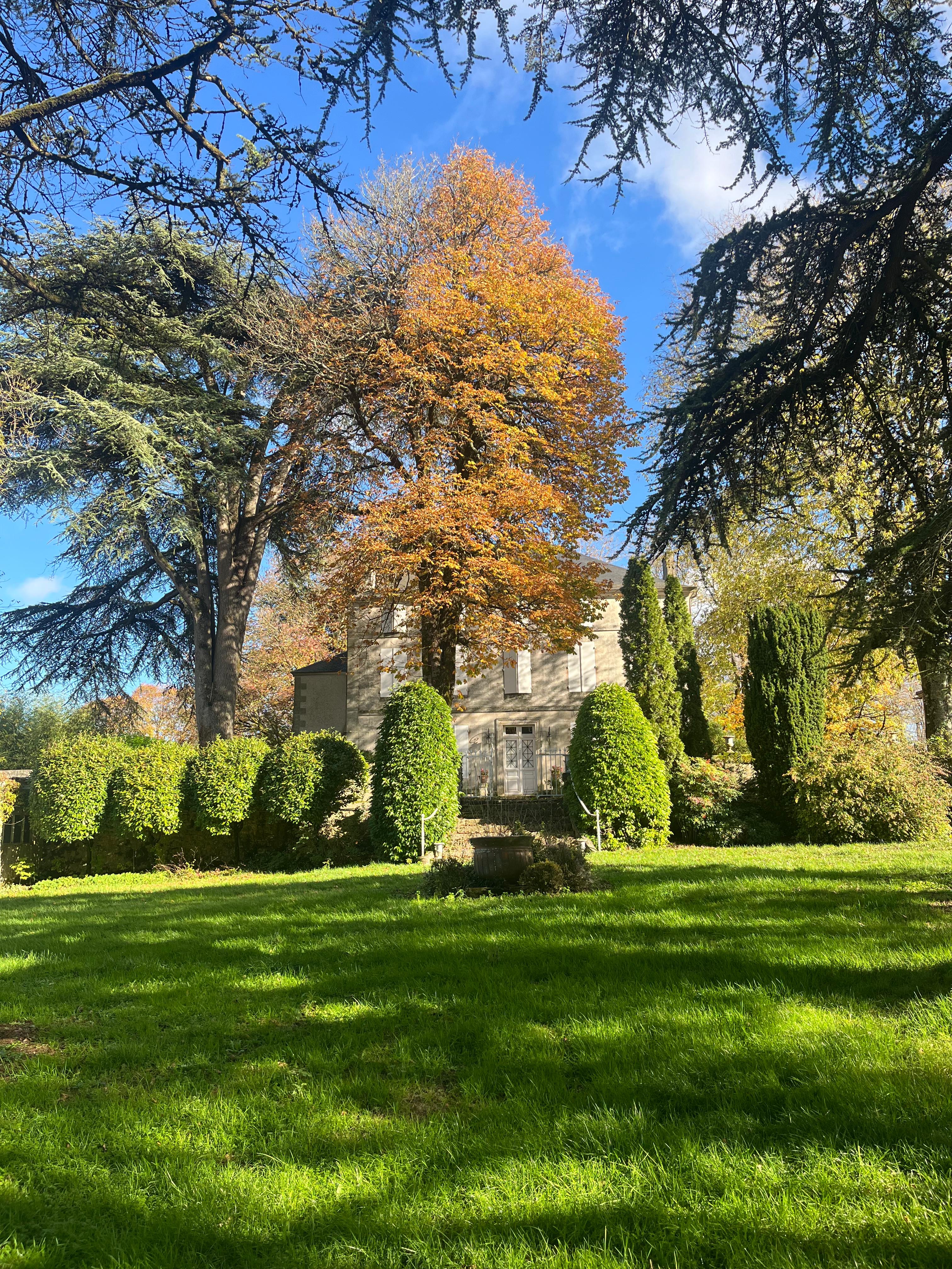 688f66f7 d7a5 4ffd 9ca4 0ddcfe1ca3de