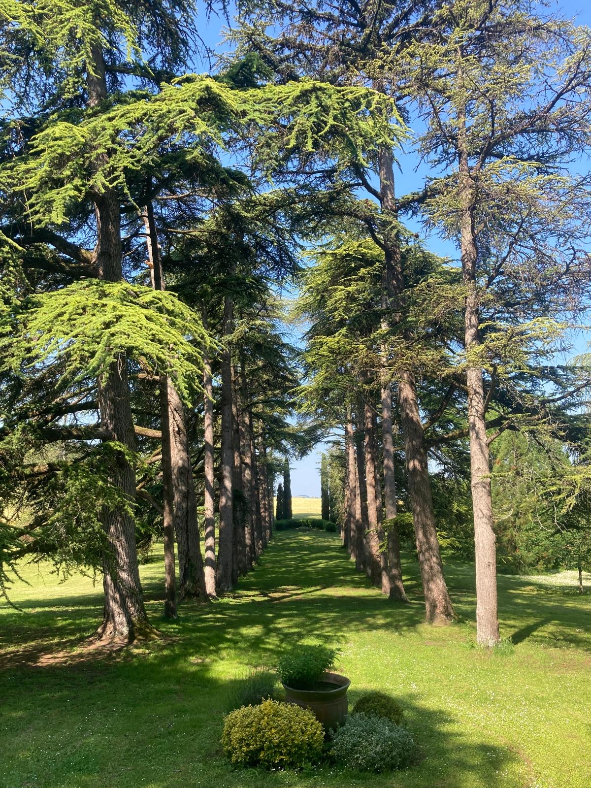 3f19d531 4e27 49ec 9386 234f1c0ea83e