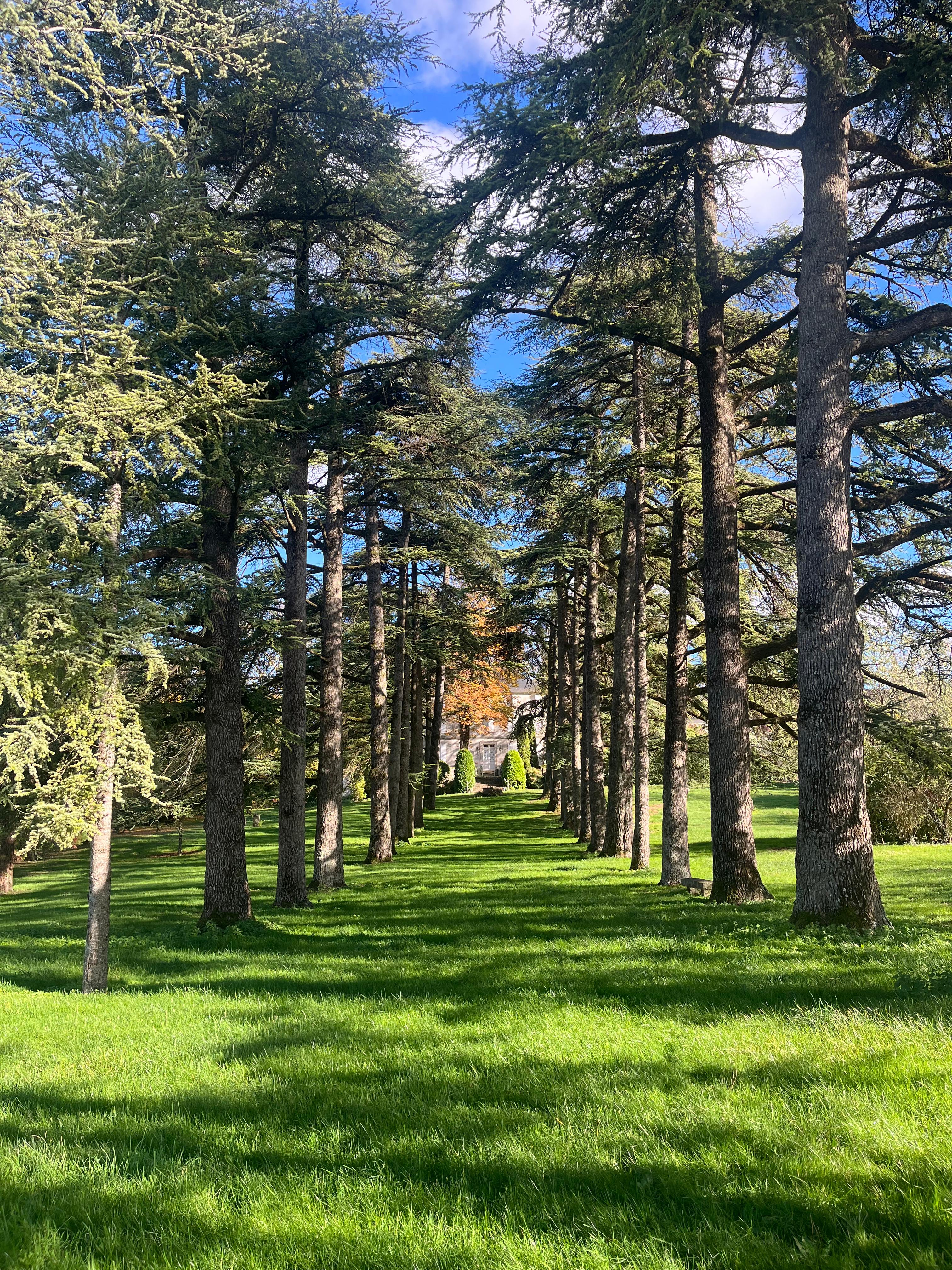 55c0f5d9 3a05 4927 ac8d 613e5a8cb7e8