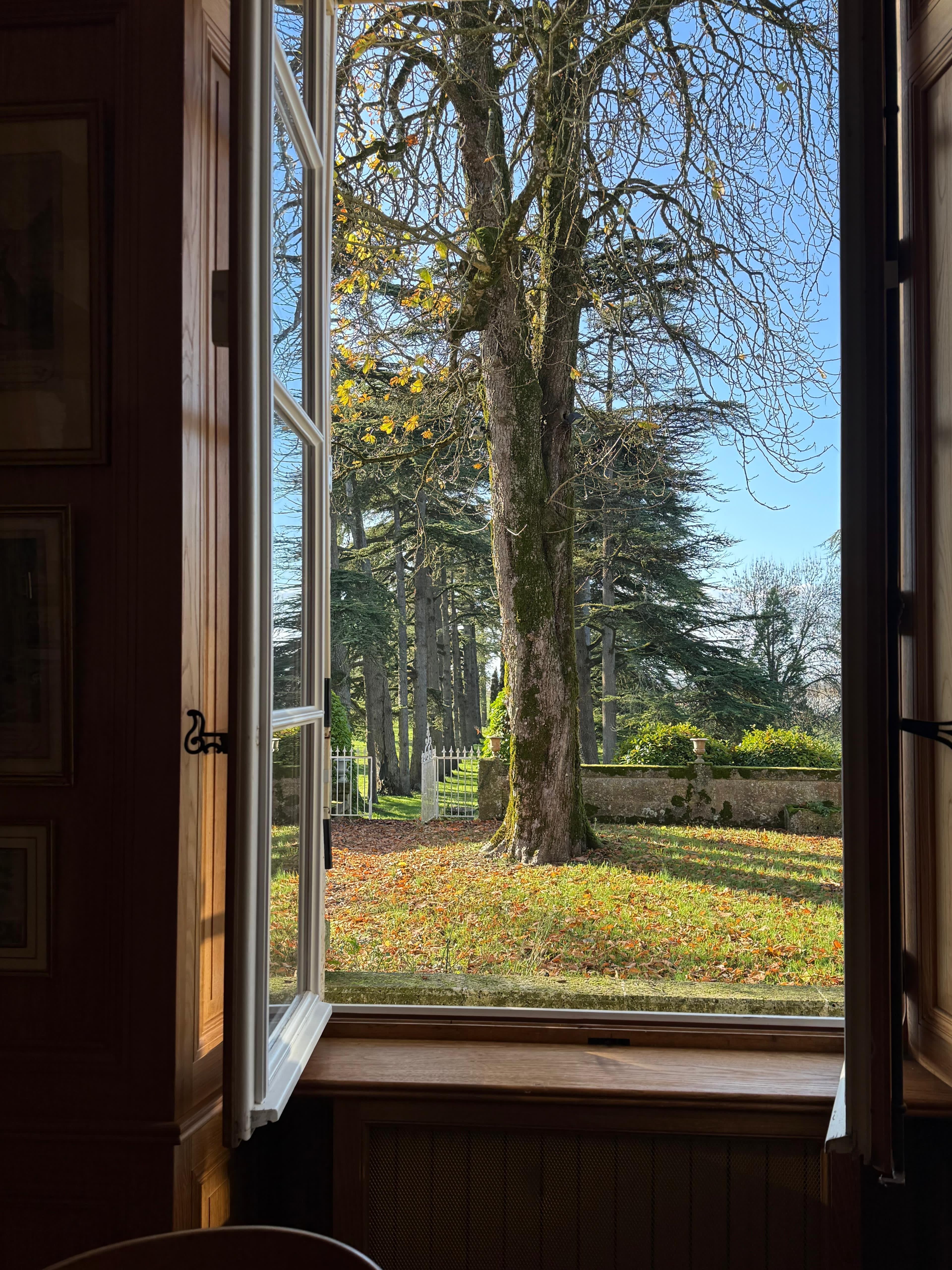 c44718a9 35bc 44aa bded fa2a16e9d732