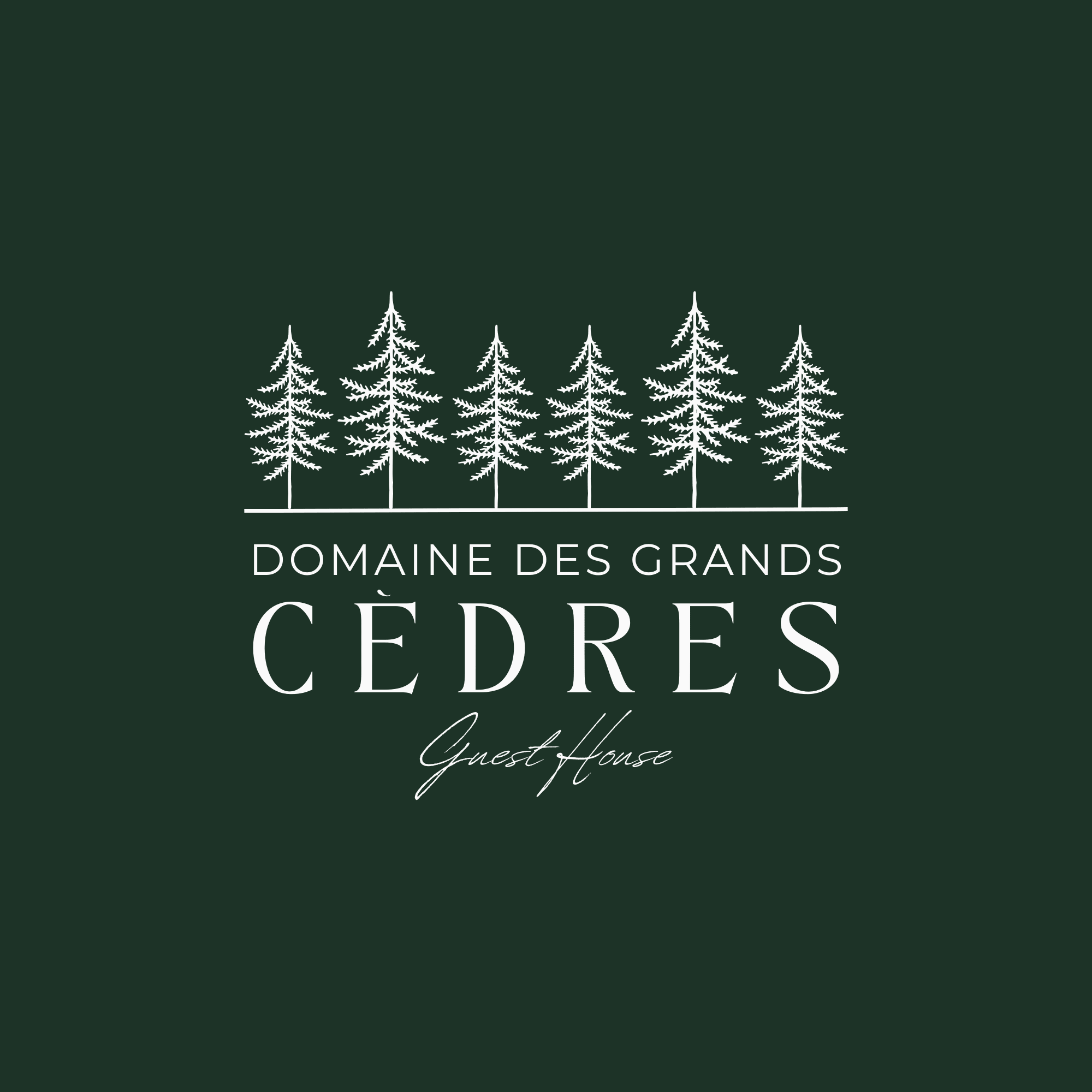 Untitled design (20)