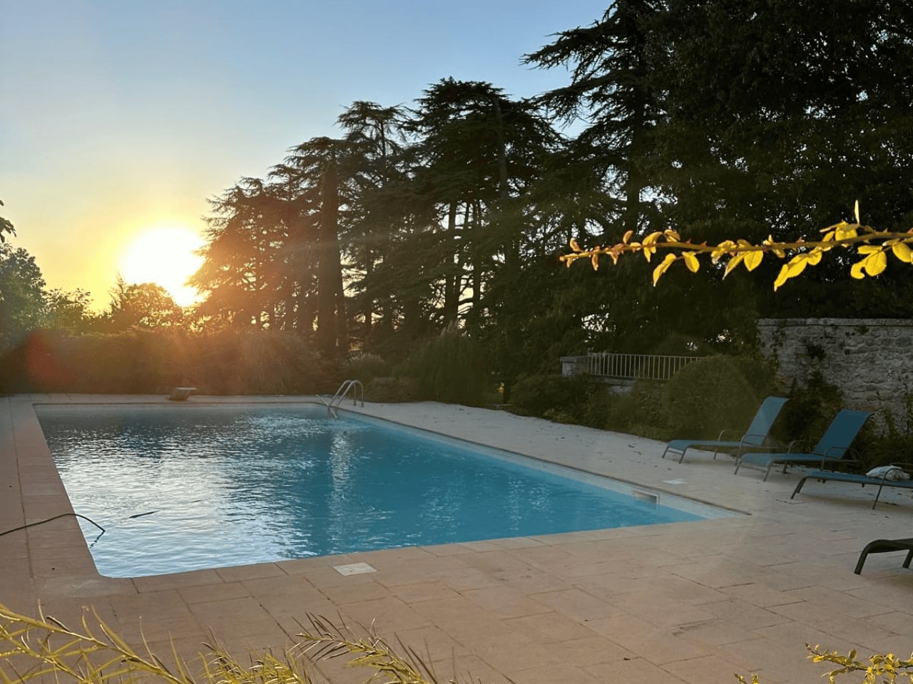 Domaine des Grands Cedres 9