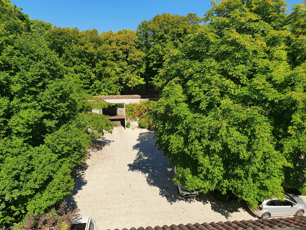 Domaine des Grands Cedres 10