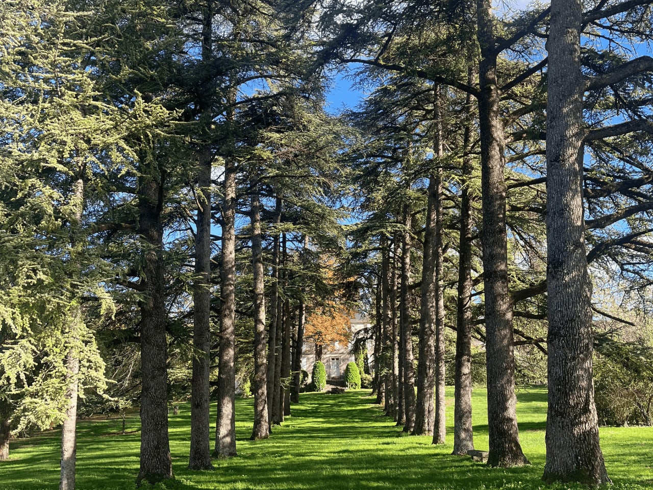 Domaine des Grands Cedres 12