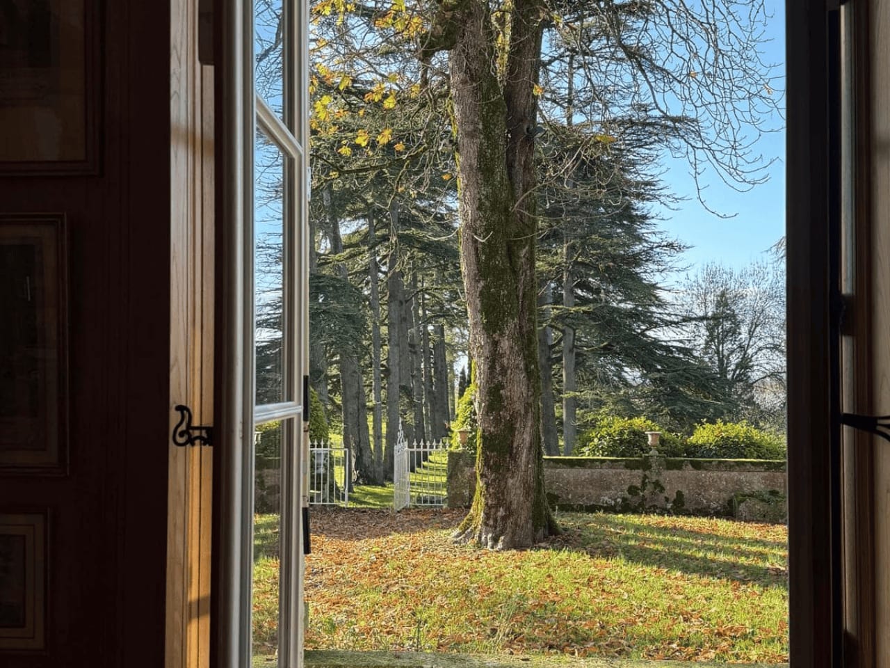 Domaine des Grands Cedres 38