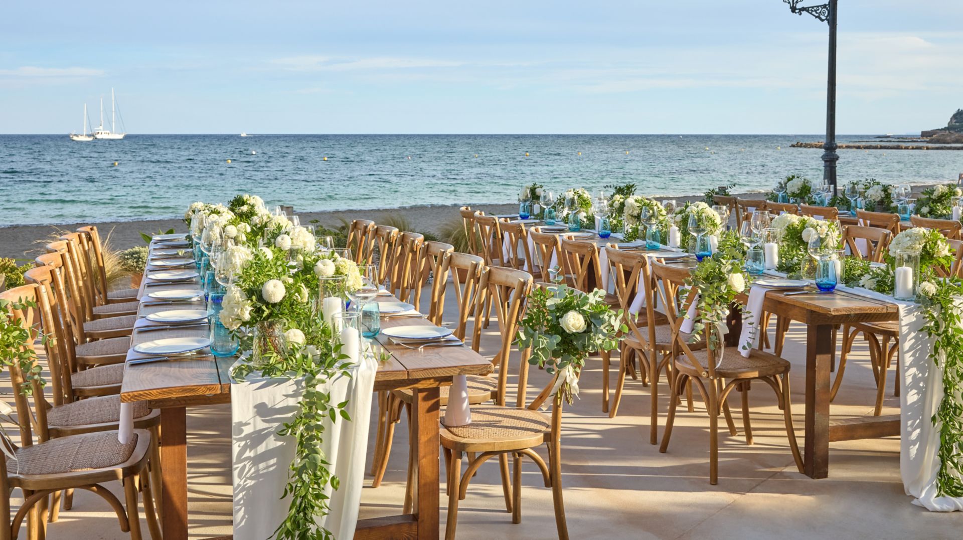 wh ibzwh yellow fish wedding 34547 37053 Wide Hor