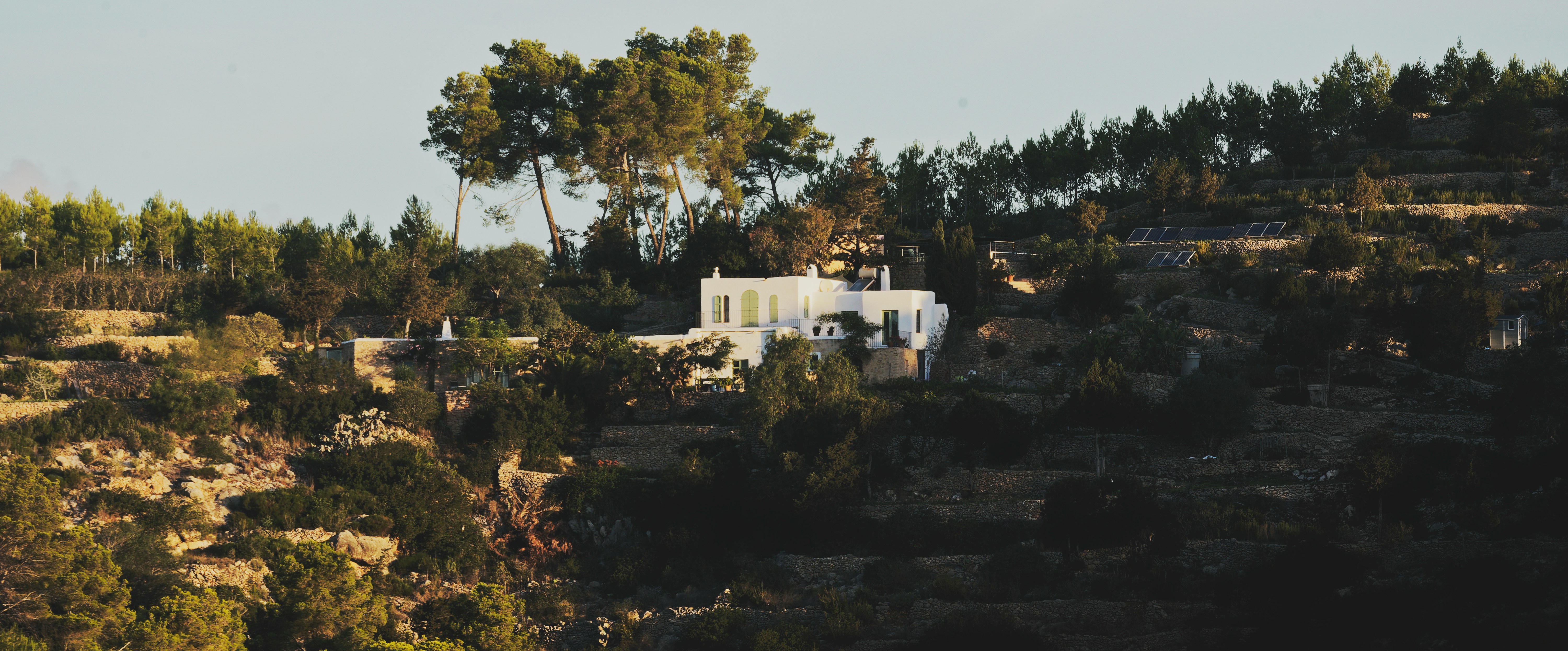 mario dominguez s9SDoSftFf4 unsplash