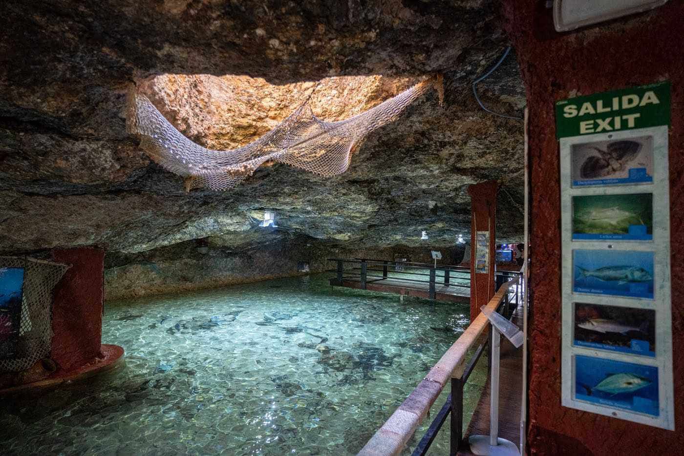aquarium-cap-blanc-ibiza-kids