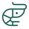 Stylized shrimp logo for YETI RESTAURANTE