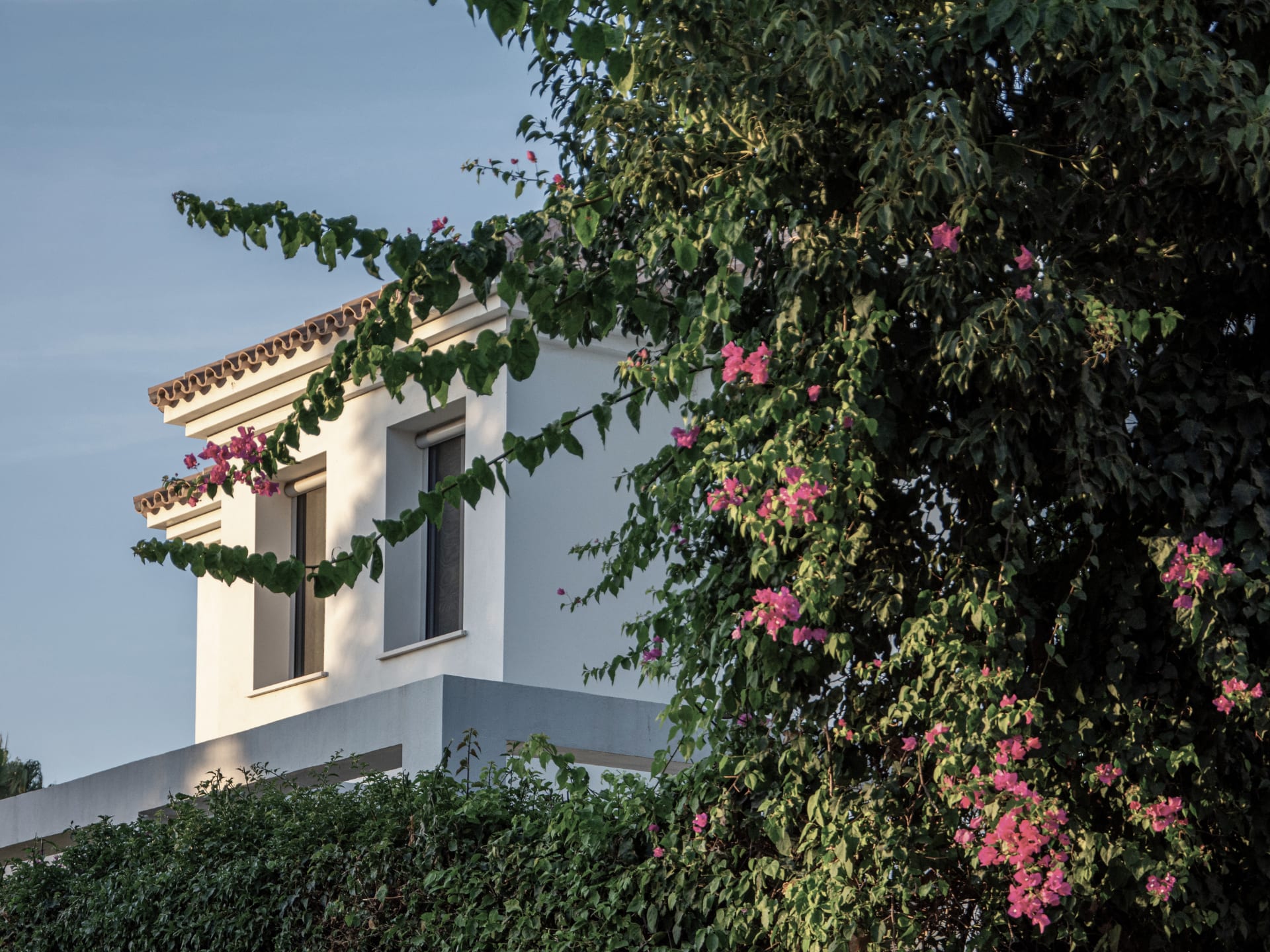 A modern villa surrounded by lush greenery and blooming flowers.