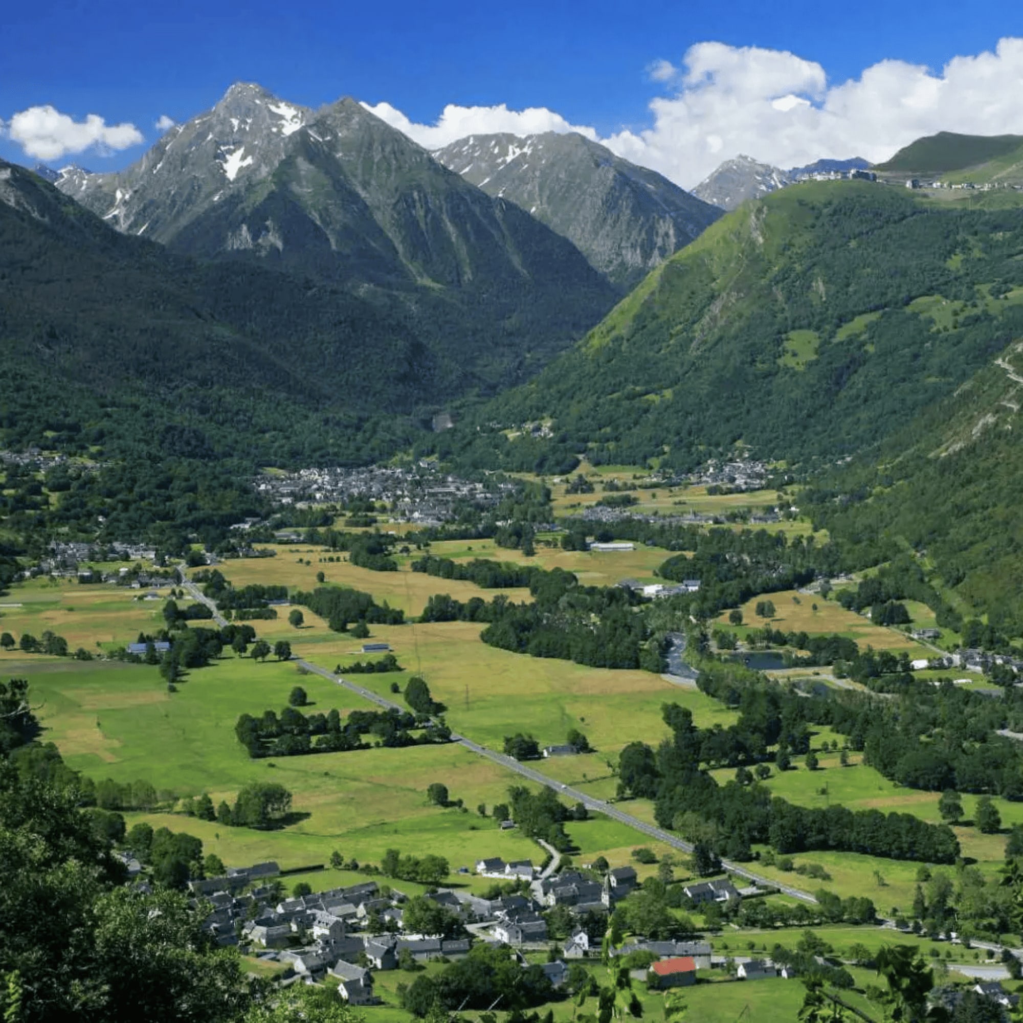 Vue panoramique des montagnes et des vallées verdoyantes.